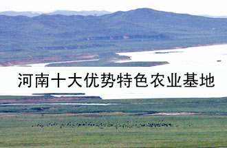 8月19日，河南省政府發(fā)布了關于深入推進農(nóng)業(yè)供給側(cè)結構性改革 大力發(fā)展優(yōu)勢特色農(nóng)業(yè)的意見