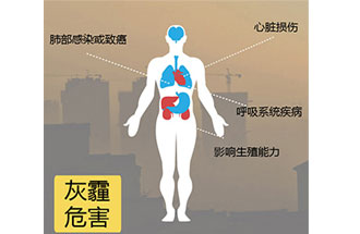 空氣中PM2.5 是由什么物質(zhì)組成的？