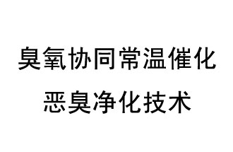 臭氧協(xié)同常溫催化惡臭凈化技術