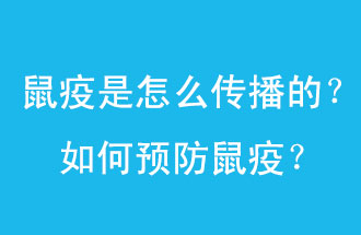 鼠疫是怎么傳播的？如何預(yù)防鼠疫？